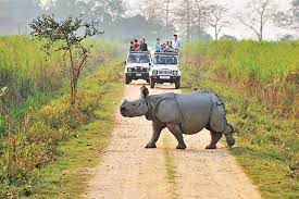 Kaziranga National Park